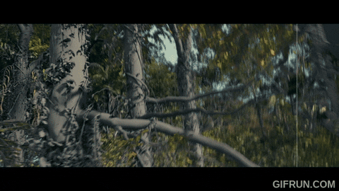 D4Bbbbbbbbb giphyupload GIF