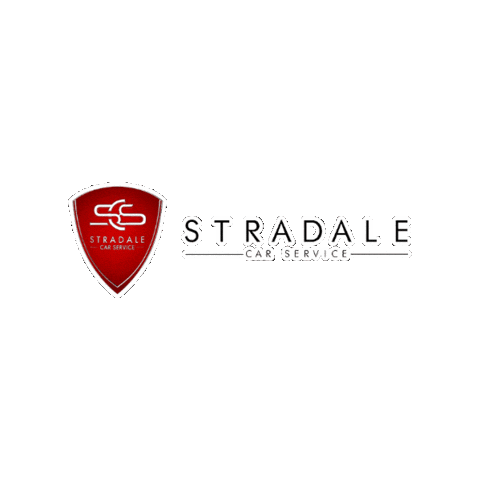 stradalecarservice giphygifmaker scs stradale Sticker