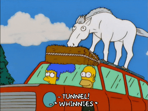 homer simpson episode 13 GIF