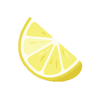 Summer Lemon Sticker by Kyte Baby