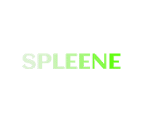 spleene kiteboarding spleene spleene kiteboarding enter the zone Sticker