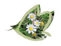 Endangered Species Australia Sticker by NSW Department of Planning, Industry and Environment