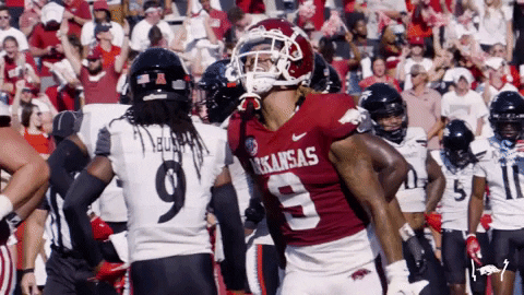College Football GIF by Arkansas Razorbacks