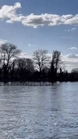 Fans Cheer at The Boat Race Between Cambridge and Oxford in London