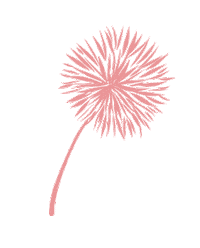 Pink Flower Sticker by Binary Style