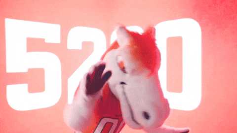 Football Nfl GIF by Broncos