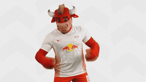 Lets Go Football GIF by RB Leipzig