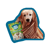 Happy Dog Sticker by Awesome Pawsome Treats