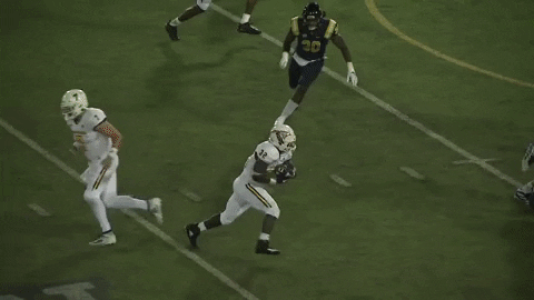 Touchdown Beast GIF by Chattanooga Mocs