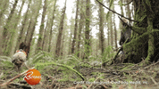 truffle dog GIF by Rachael Ray Show