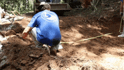 Dirt Work Grading GIF by JC Property Professionals