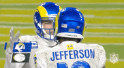 National Football League GIF by NFL