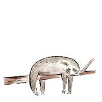 Chill Sloth Sticker by minipresents