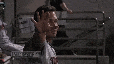minnesota twins baseball GIF by MLB