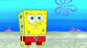 season 9 episode 3 GIF by SpongeBob SquarePants