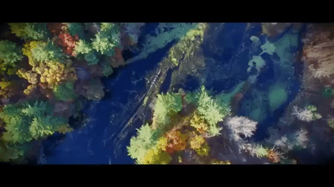 new hampshire GIF