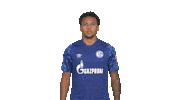 Looking Line Up Sticker by Bundesliga