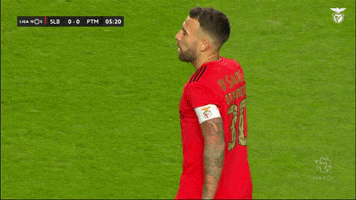 Sl Benfica Slbgif GIF by Sport Lisboa e Benfica