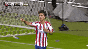 19 20 Football GIF by Atlético de Madrid