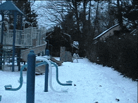 new jersey snow GIF by Charles Pieper