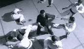 martial arts fighting GIF