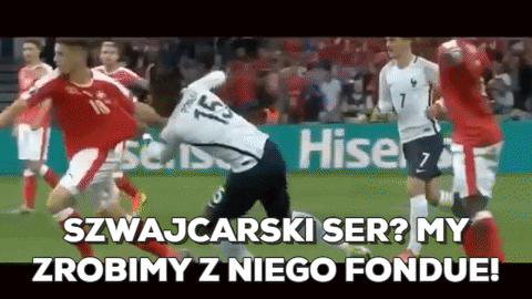 GIF by TVP.PL
