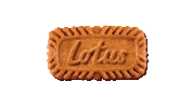 Cookie Lotus Sticker by Lotusbakeries