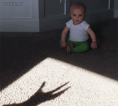trauma GIF