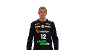Handball Leipzig Sticker by SCDHFK