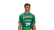 Handball Leipzig Sticker by SCDHFK