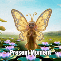 Inner Peace Balance GIF by BuddhaFlyJourney