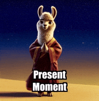Inner Peace Wisdom GIF by dalaillamazen