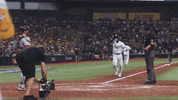 Home Run Celebration GIF by MLB