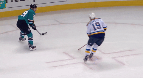 stanley cup playoffs nhl GIF