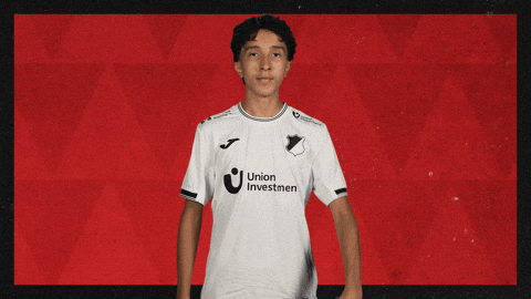 Tsg Hoffenheim Football GIF by Bundesliga