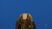Look Up Tsg Hoffenheim GIF by Bundesliga