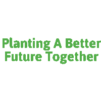 Plant Charity Sticker by Trees for the Future