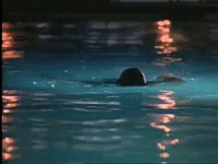 season 3 GIF