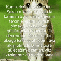 Sakan GIF
