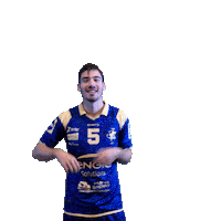 Sport Celebration Sticker by Massy Essonne Handball