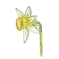 Flower Sticker by Increase Creativity