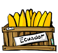 Goljee team box banana ecuador Sticker