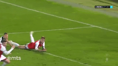 Partizan GIF by sportmts