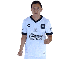 Liga Mx Gallos Sticker by Club Querétaro