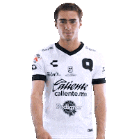 Liga Mx Gallos Sticker by Club Querétaro