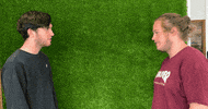 Beg Please GIF by Sleeping Giant Media