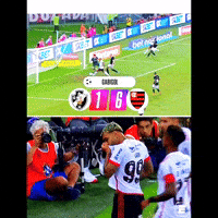 Fla GIF