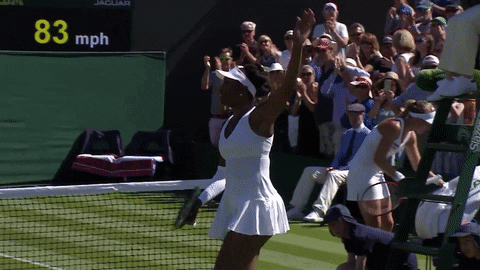 happy venus williams GIF by Wimbledon