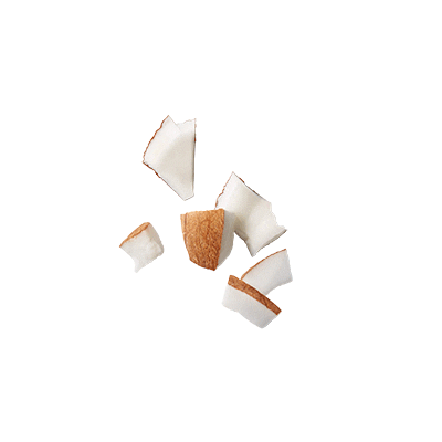 Coconut Quakernl Sticker by IMA - Influencer Marketing Agency