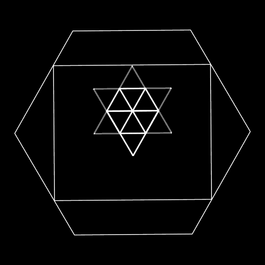 xponentialdesign giphyupload loop play 2d GIF